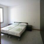 POMPEO LEONI 2 A19 - immagine 8